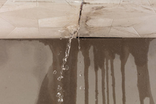 Professional Water Extraction technician working in Littleton, WV